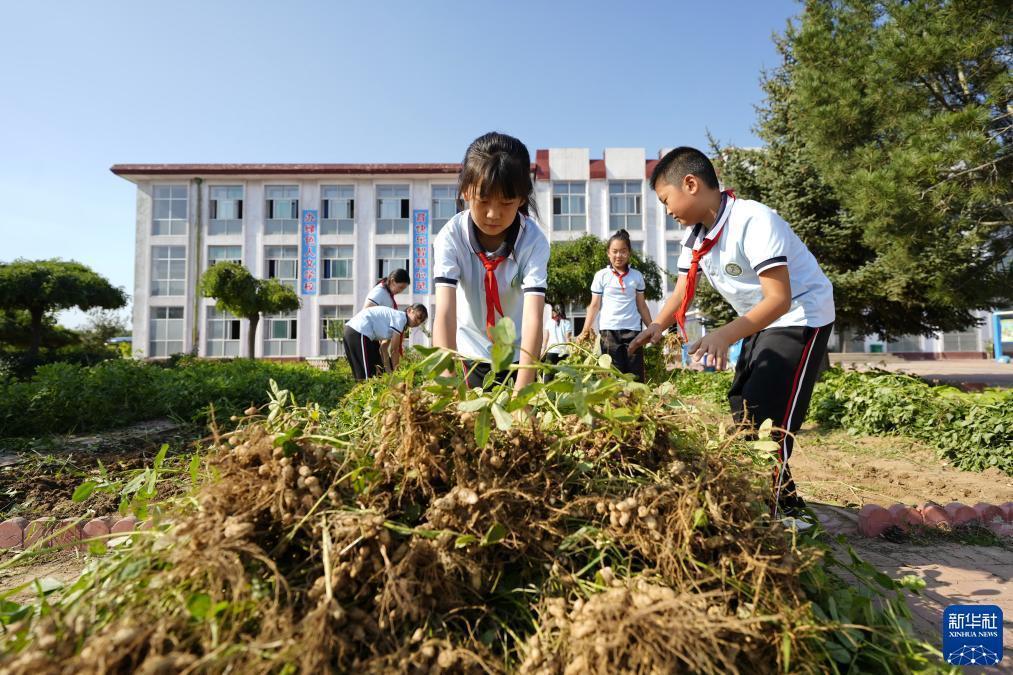 新上线捕鱼游戏